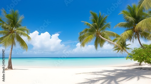 Idyllic tropical beach with palm trees, white sand, and crystal-clear blue water.