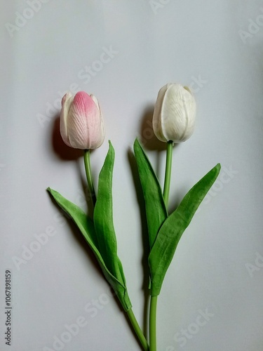 Photos Artificial decorative flowers on white background.