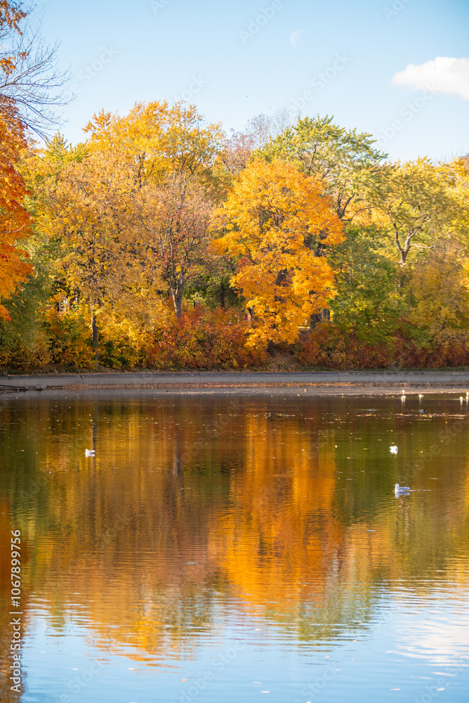 Le parc national de la Mauricie au Quebec Canada pendant l'automne Le parc national de la Mauricie au Quebec Canada pendant l'automne