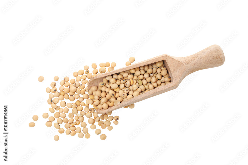 PNG, Soy beans, isolated on white background PNG, Soy beans, isolated on white background