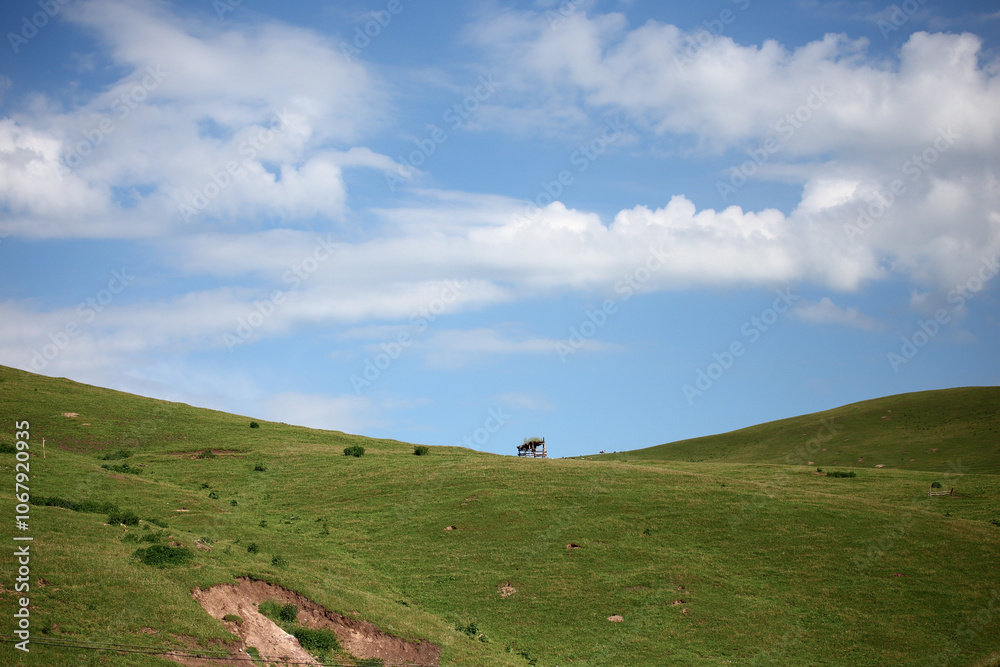 The scenery of Yili, Xinjiang, China in summer The scenery of Yili, Xinjiang, China in summer