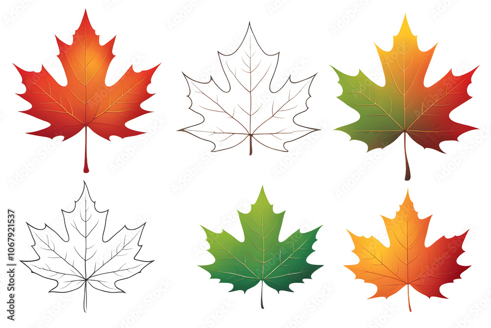 Obraz premium autumn leaves background, red and yellow stars, maple leaves isolated on white