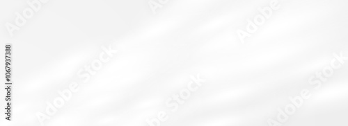 Natural sunlight and shadow background. Dapple light glare wallpaper for mockup, template, banner, overlay, poster. Spotted light beams and rays reflex on surface, wall, ceiling, floor. Vector