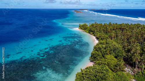 Bird's Eye View of the Lush Palms and Turquoise Waters of  Eneko Island,  Marshall Islands