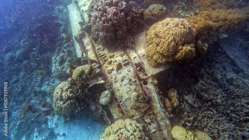 Sunken WWII fighter plane engine wreckage in Chuuk lagoon, Micronesia