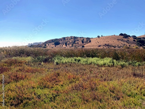 landscape with mountains