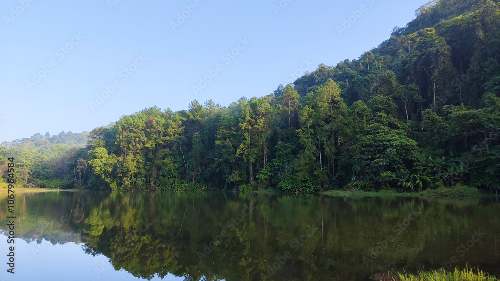A serene lake reflects a dense forest of tall green trees on a clear day. A serene lake reflects a dense forest of tall green trees on a clear day.