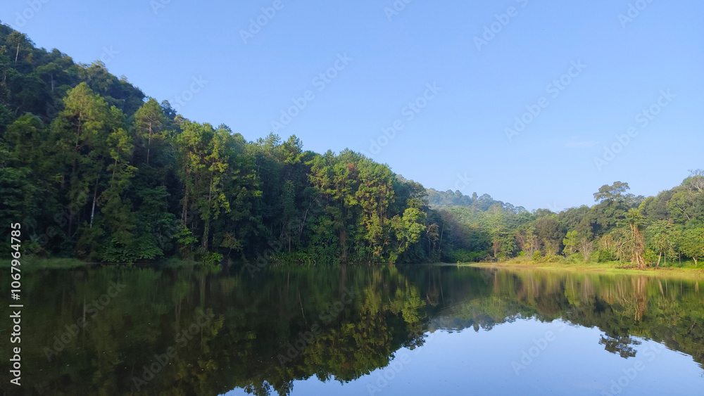 A serene lake reflects a dense forest of tall green trees on a clear day. A serene lake reflects a dense forest of tall green trees on a clear day.
