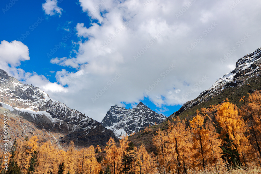 Landscape of Siguniang mountain or Four girls mountains with ,located in the Aba Tibetan and Qing Autonomous Prefecture in western Sichuan of China. Landscape of Siguniang mountain or Four girls mountains with ,located in the Aba Tibetan and Qing Autonomous Prefecture in western Sichuan of China.