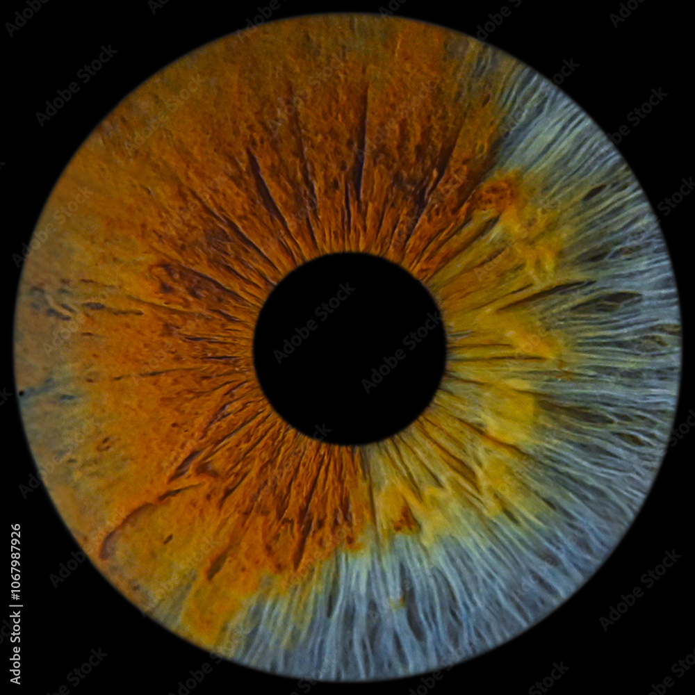 High-resolution macro photograph of a human eye iris, capturing intricate details and vibrant eye colors. High-resolution macro photograph of a human eye iris, capturing intricate details and vibrant eye colors.