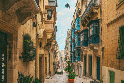 Bird Flying Down a Street in Malta