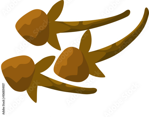 Clove Spice Illustration