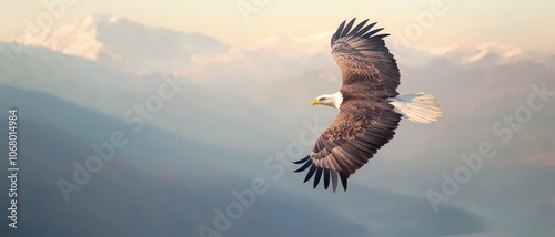 Experience the majestic slow motion flight of an eagle soaring gracefully above breathtaking landscapes photo