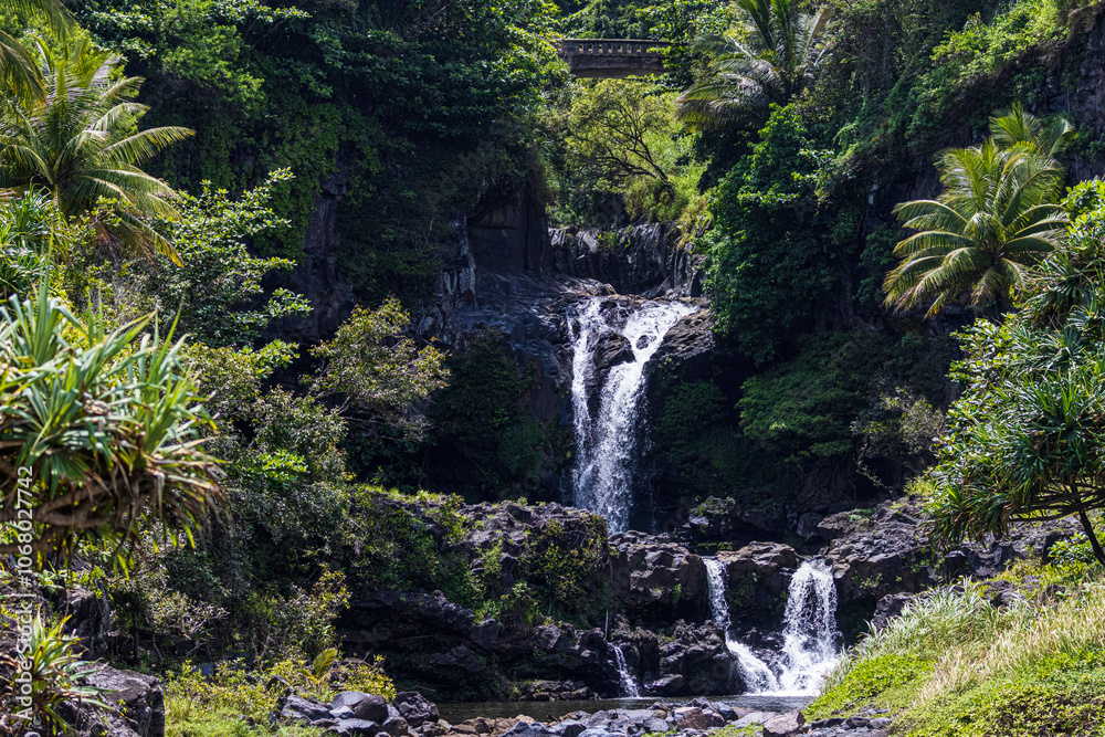 A stream along the Pipiwai Trail in Haleakala National Park on the island of Maui in Hawaii. A stream along the Pipiwai Trail in Haleakala National Park on the island of Maui in Hawaii.
