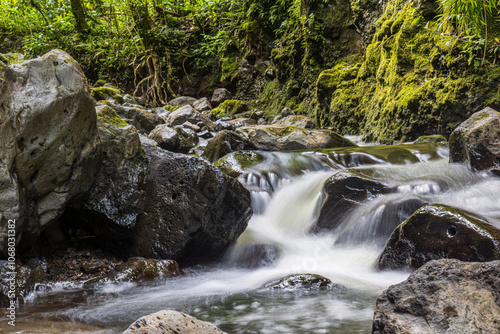 Obraz na płótnie A stream along the Pipiwai Trail in Haleakala National Park on the island of Maui in Hawaii. w salonie