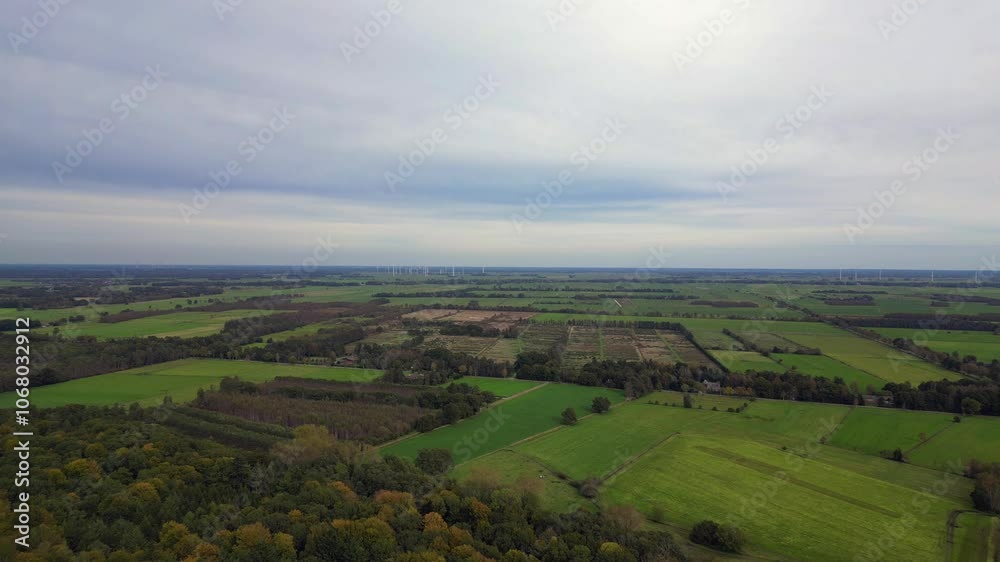 moor plowed field bordering forest in germany. Unbelievable aerial view drone moor plowed field bordering forest in germany. Unbelievable aerial view drone