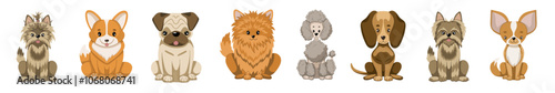 Medium dog breeds collection. Vector illustration of sitting dogs in flat style. Isolated illustrations set on white