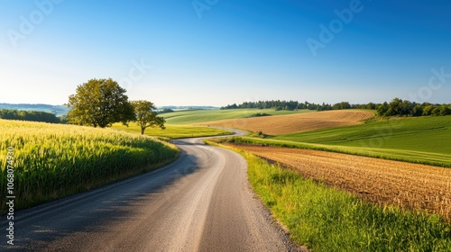 Serene winding road through lush agricultural landscape