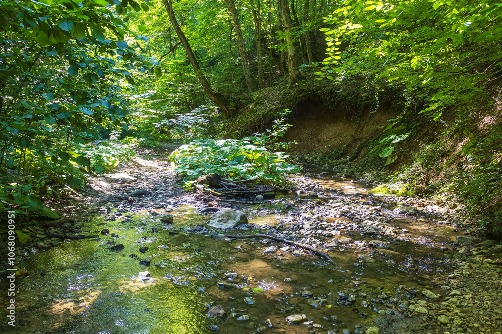nature park , a walk along the riverbed with an overview of the stone bottom and banks nature park , a walk along the riverbed with an overview of the stone bottom and banks