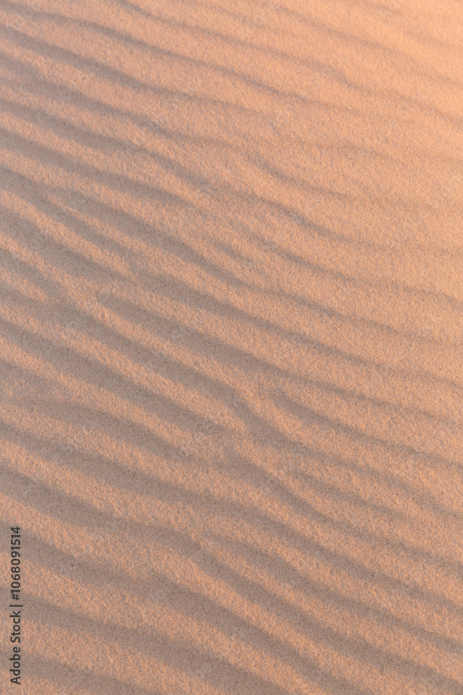 Morning sun warming up the ripples on the sand dune. Morning sun warming up the ripples on the sand dune.