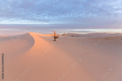 Fototapeta Naklejka Na Ścianę i Meble -  Sun rising lighting up warm colored sand dunes.