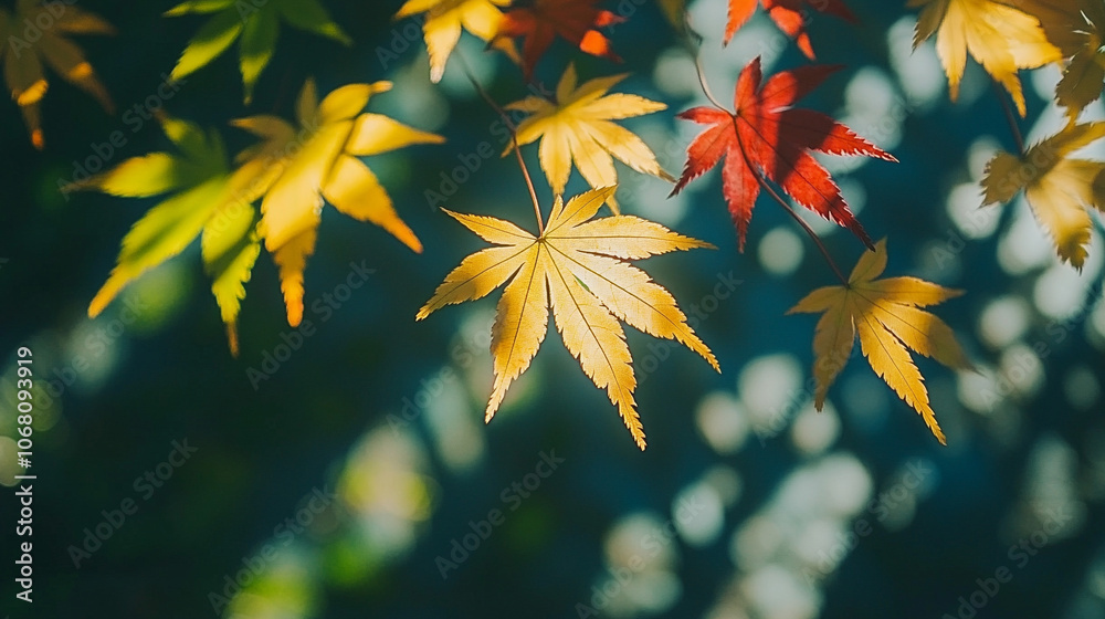 Close-up view of vibrant autumn leaves in shades of red, yellow, and green, symbolizing the beauty of seasonal change, renewal, and the transition from life to rest during fall