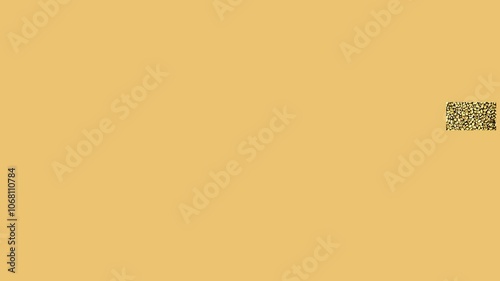hemp seeds, unpeeled on a turn table, appearing with text on a brown, empty background
