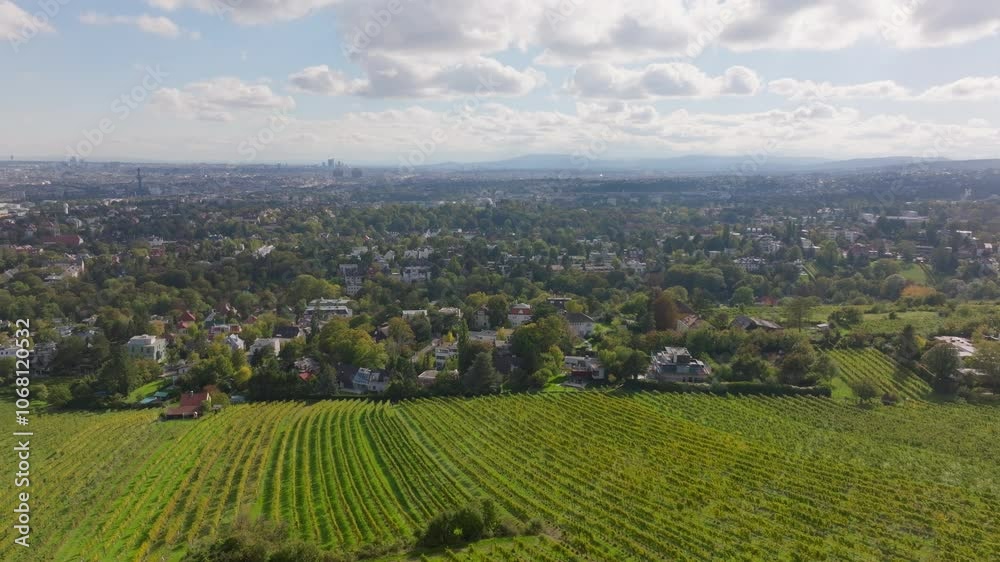 Aerial view of Vienna, Austria, showcasing the cityscape in the distance and lush vineyards in the foreground, with clouds gracefully moving across the sky Aerial view of Vienna, Austria, showcasing the cityscape in the distance and lush vineyards in the foreground, with clouds gracefully moving across the sky