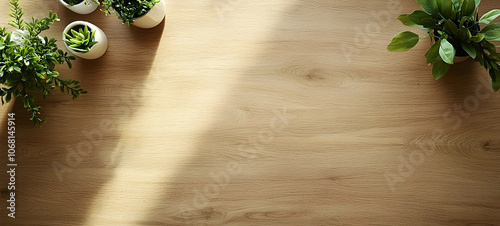 plant in a garden on wood table