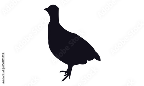 Black Pheasant silhouette And Vector Illustration. 