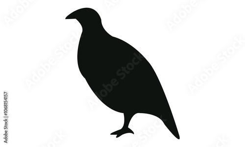 Black Pheasant silhouette And Vector Illustration. 