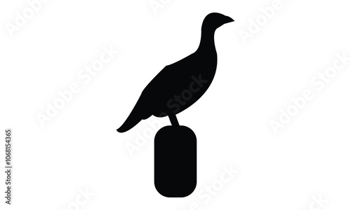 Black Pheasant silhouette And Vector Illustration. 