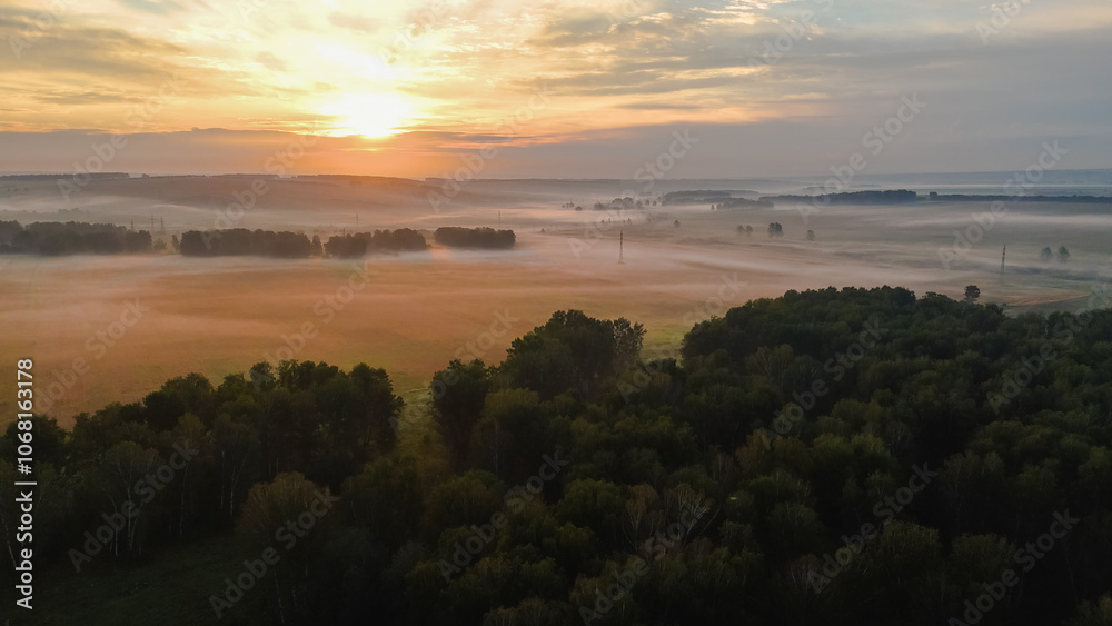 Pink dawn over the fields in the fog Pink dawn over the fields in the fog