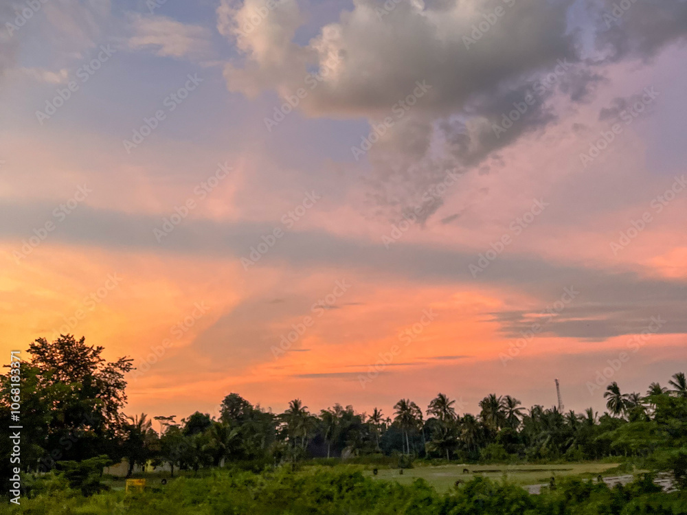 sunset view in the afternoon with green trees sunset view in the afternoon with green trees