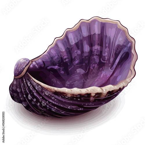 Illustration of a purple mollusk shell on a white background 
