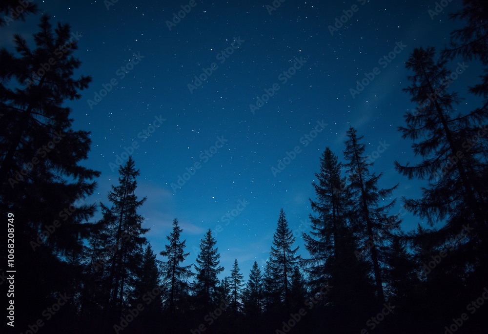 Fototapeta premium A night sky filled with stars over a silhouette of pine trees, creating a serene and peaceful atmosphere