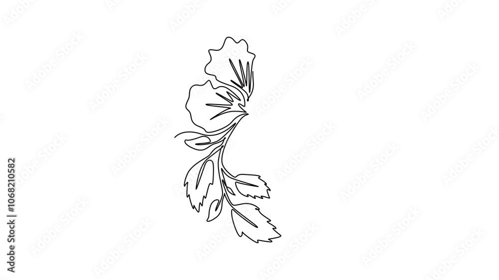 Animated self drawing of continuous line draw beauty fresh hibiscus for park garden logo identity. Printable poster rose mallow flower concept for home wall decoration. Full length one line animation