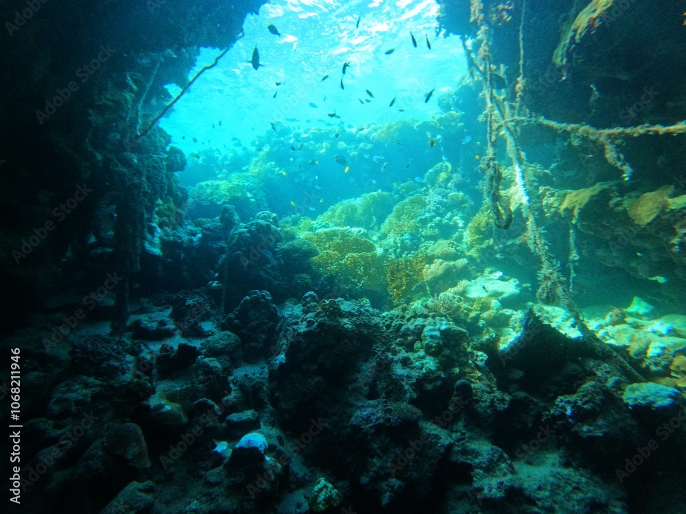 Fototapeta premium Inside another world 