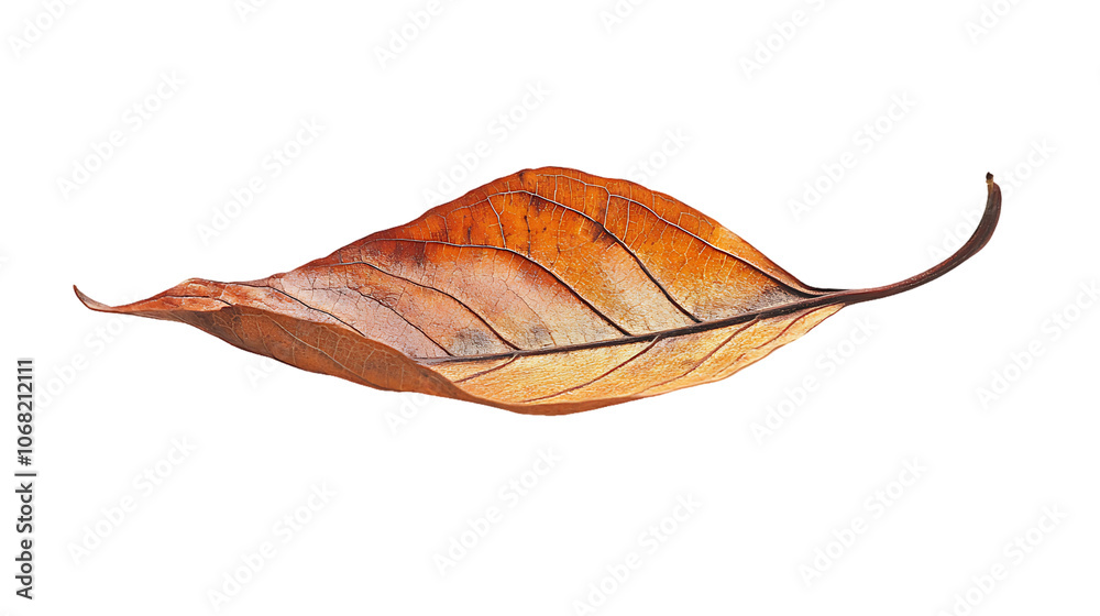 Autumn leaves softly drifting down on a white background, warm tones of orange and brown, Autumn leaves softly drifting down on a white background, warm tones of orange and brown,