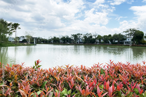 Dramatic panoramic view of beautiful outdoor landscape show green and red leaves, big trees, freshness and peaceful lake in countryside public park.