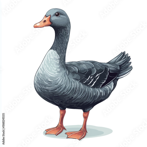 Vector illustration of a gray goose isolated on a white background. Cartoon style. 