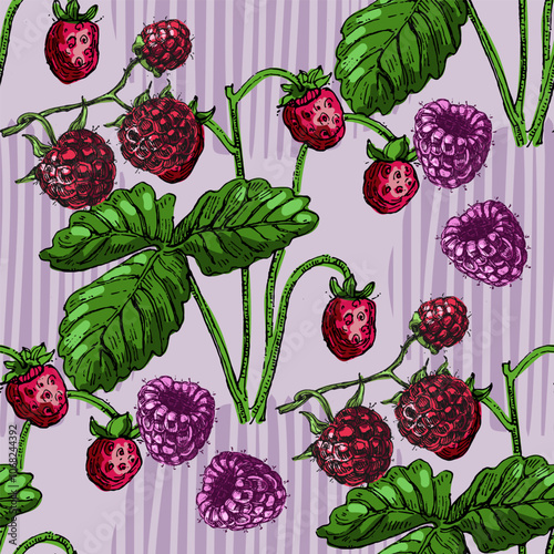 Seamless Pattern with strawberries and raspberries. Color sketch style hand drawn background. Detailed illustration, hand drawn. Great for fabric and textile, prints, invitation, packaging