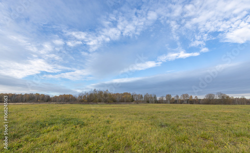 A large field of grass with a clear blue sky above