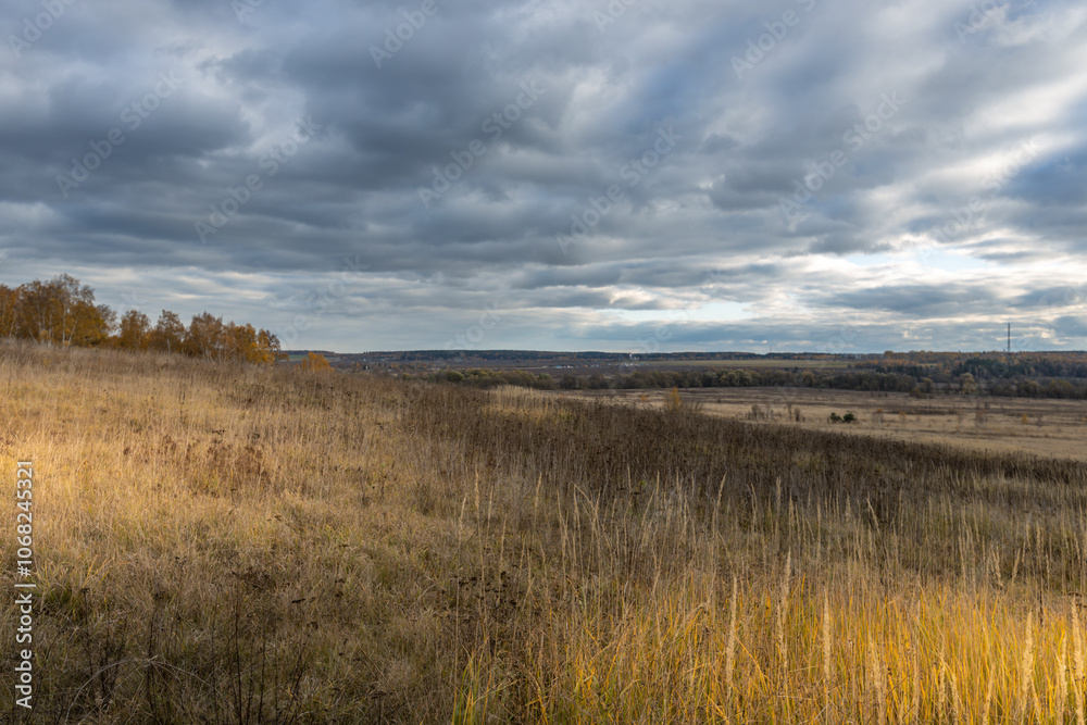 A field of tall grass with a cloudy sky in the background A field of tall grass with a cloudy sky in the background