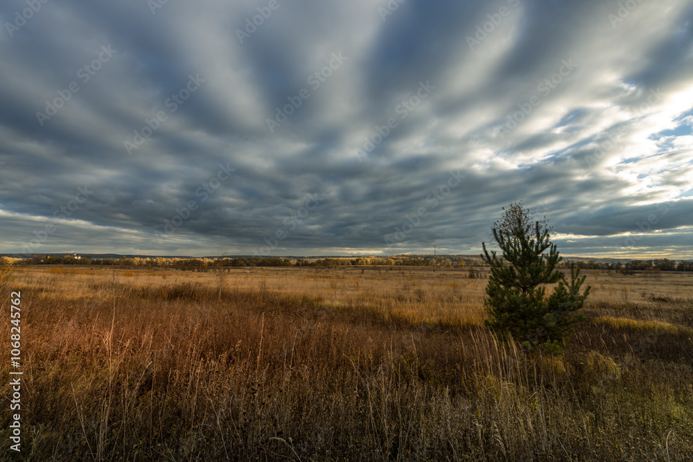 A cloudy sky with a lone tree in the middle of a field A cloudy sky with a lone tree in the middle of a field