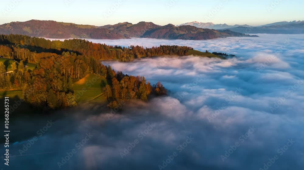 Hyperlapse drone flight over an autumn landscape in Switzerland. The sea of fog and the hilly landscape are illuminated at sunset. You can see also the mountain ranges and the colorful forests. Hyperlapse drone flight over an autumn landscape in Switzerland. The sea of fog and the hilly landscape are illuminated at sunset. You can see also the mountain ranges and the colorful forests.