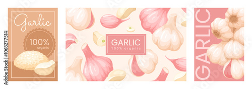Garlic organic cards spices vegetable poster label pack design template set isometric vector