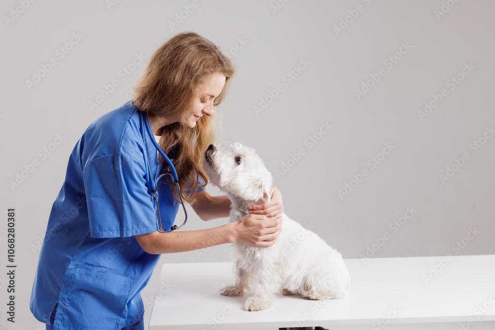 Healthy pet being examined by happy caring doctor on white background Healthy pet being examined by happy caring doctor on white background