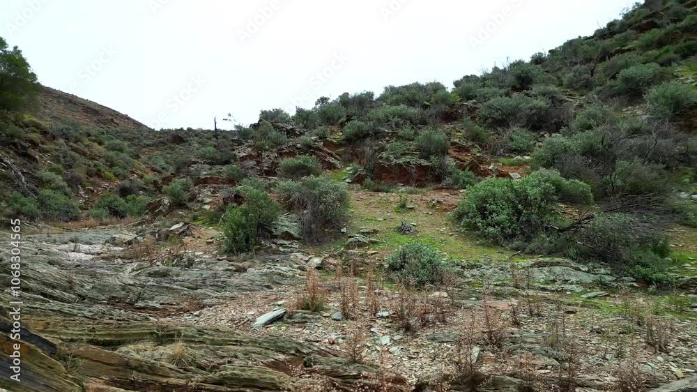 Landscape of forested hills and rocky caves Landscape of forested hills and rocky caves