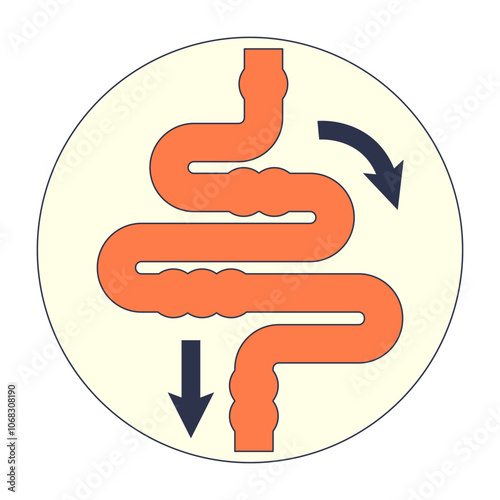 Stylized digestive tract with arrows indicating flow direction.